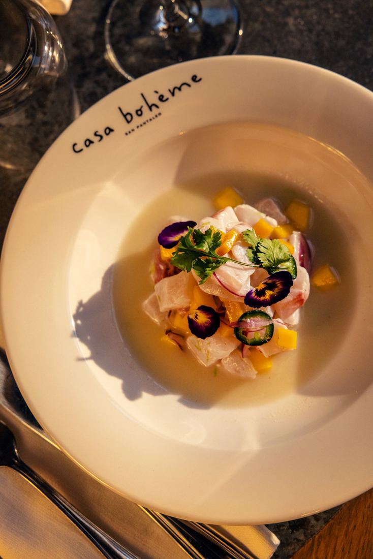 Ceviche